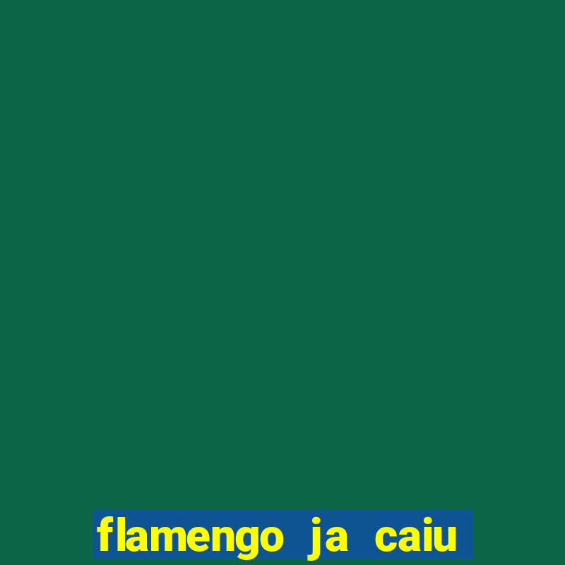 flamengo ja caiu para serie b